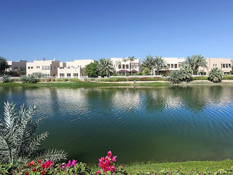 ميدوز