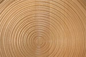 antera wood light lifering
